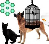 /album/galleria-foto-cani-e-gatti/images-9-jpg1/